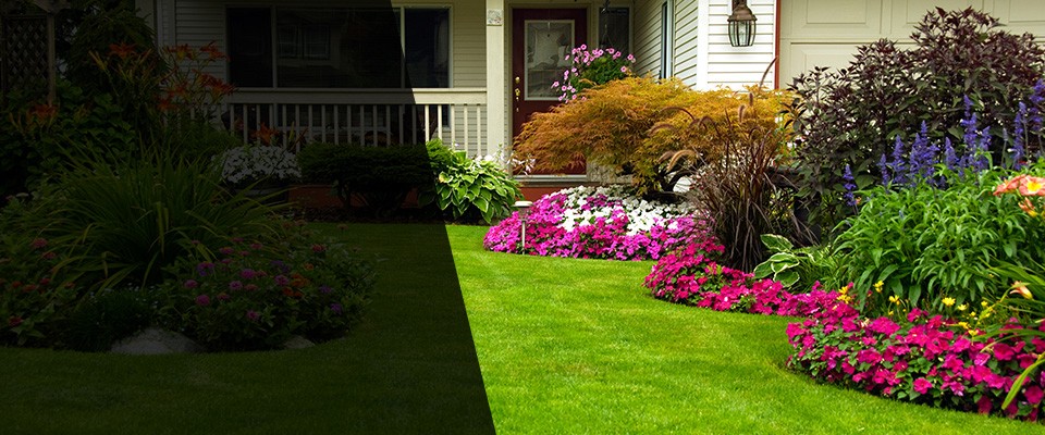 Durango Landscapers