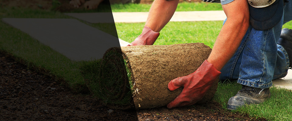 Durango Landscapers